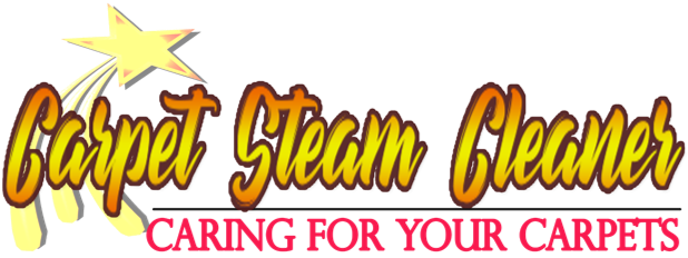 Carpet Steam Cleaner